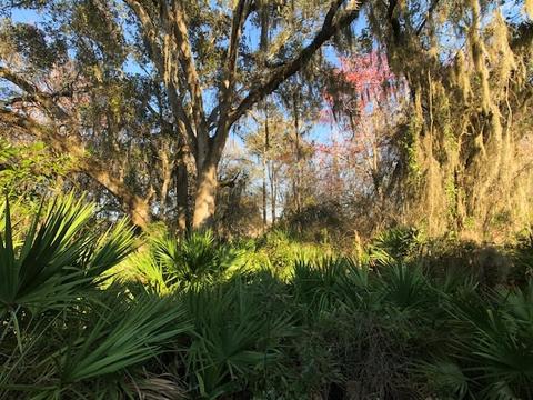 162 Timoga Trl, Saint Augustine, FL 32084 photo 5