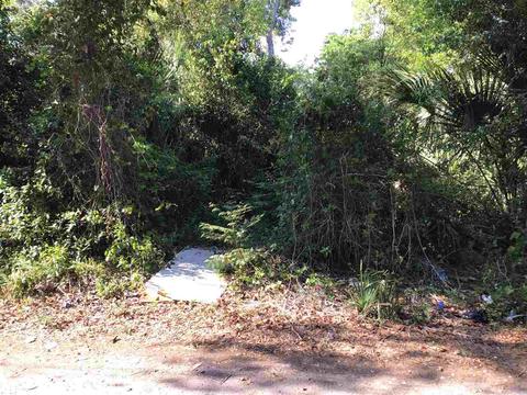590 Julia St, Saint Augustine, FL 32084 photo 1