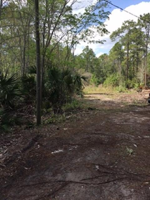 1810 County Rd 214, Saint Augustine, FL 32084 photo 3