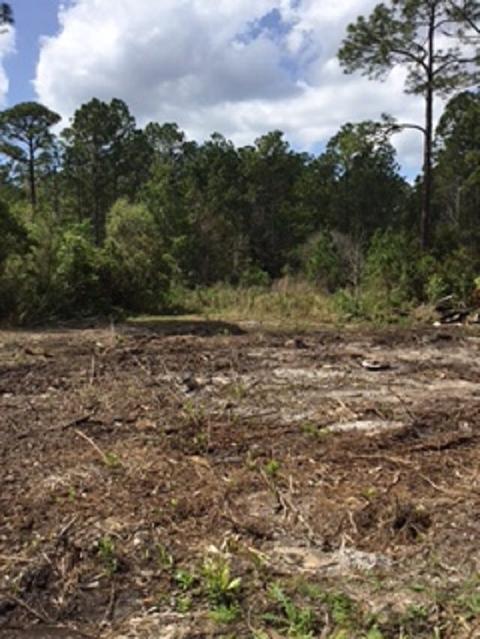 1810 County Rd 214, Saint Augustine, FL 32084 photo 5