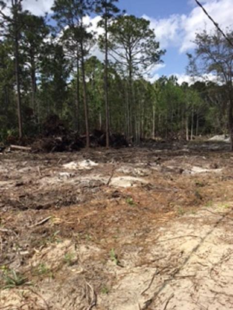 1810 County Rd 214, Saint Augustine, FL 32084 photo 6