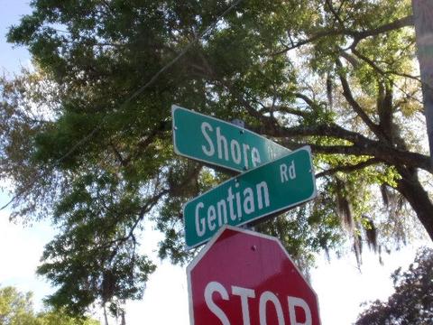 623 Gentian Rd, Saint Augustine, FL 32086 photo 2