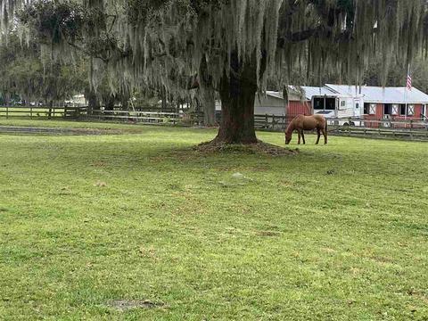 4675 Wolfe Rd, Saint Augustine, FL 32092 photo 32