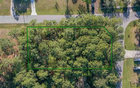299 Pine Ln, Saint Augustine, FL 32086 photo 5