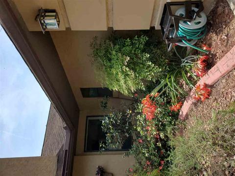5205 Timucua Cir, Saint Augustine, FL 32086 photo 7