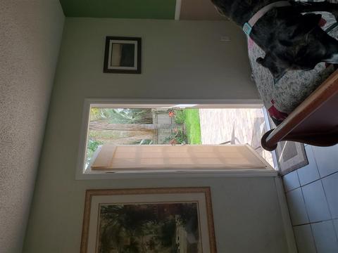 5205 Timucua Cir, Saint Augustine, FL 32086 photo 35