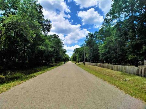 10010 Zigler Ave, St Johns, FL 32145 photo 1