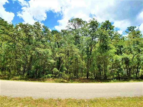 10010 Zigler Ave, St Johns, FL 32145 photo 3