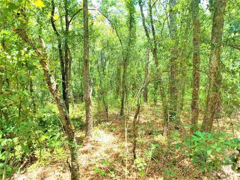 10010 Zigler Ave, St Johns, FL 32145 photo 10