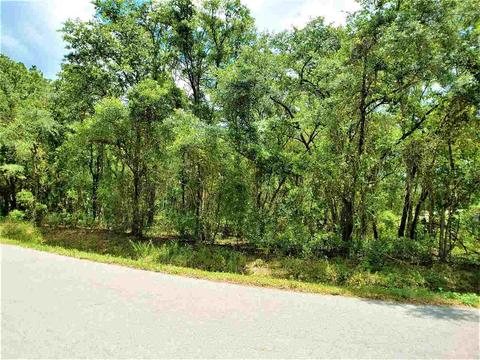 10010 Zigler Ave, St Johns, FL 32145 photo 19