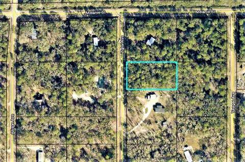 10010 Zigler Ave, St Johns, FL 32145 photo 2