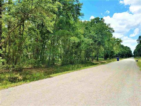 10010 Zigler Ave, St Johns, FL 32145 photo 7