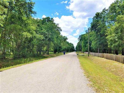 10010 Zigler Ave, St Johns, FL 32145 photo 11