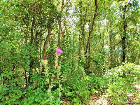 10010 Zigler Ave, St Johns, FL 32145 photo 12