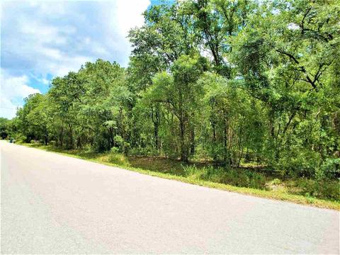 10010 Zigler Ave, St Johns, FL 32145 photo 18