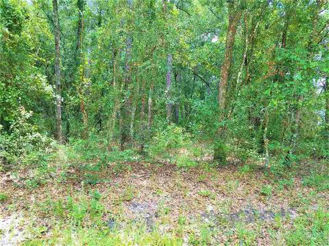 10010 Zigler Ave, St Johns, FL 32145 photo 8