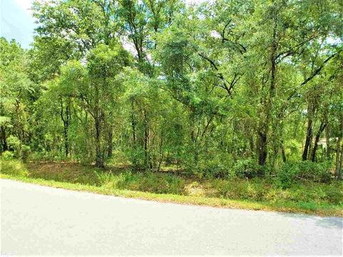 10010 Zigler Ave, St Johns, FL 32145 photo 17