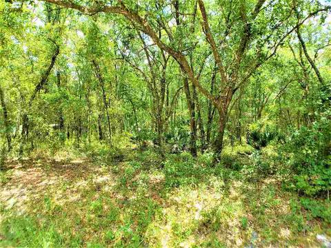 10010 Zigler Ave, St Johns, FL 32145 photo 15