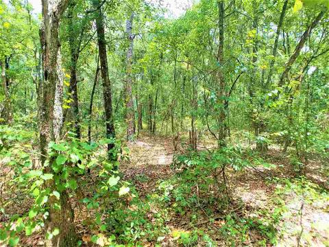 10010 Zigler Ave, St Johns, FL 32145 photo 6