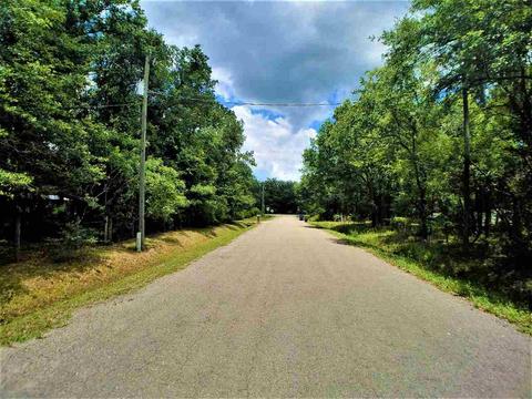10010 Zigler Ave, St Johns, FL 32145 photo 5