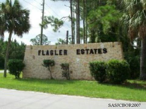 10010 Zigler Ave, St Johns, FL 32145 photo 4