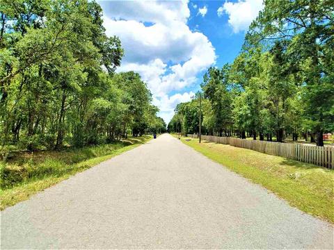 10010 Zigler Ave, St Johns, FL 32145 photo 16