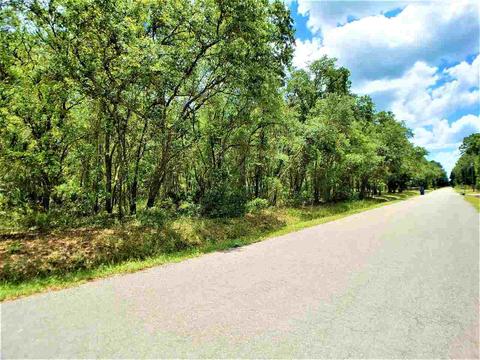 10010 Zigler Ave, St Johns, FL 32145 photo 14