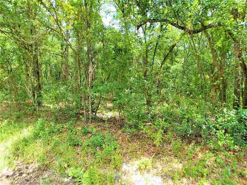 10010 Zigler Ave, St Johns, FL 32145 photo 20