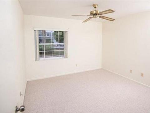 243 Lobelia Rd, Saint Augustine, FL 32086 photo 21