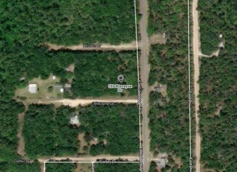 102 Biscayne Dr, Florahome, FL 32140 photo 1