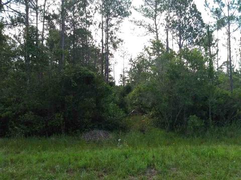 2891 Pineapple St, Bunnell, FL 32110 photo 2
