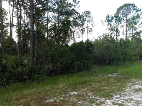 2891 Pineapple St, Bunnell, FL 32110 photo 1