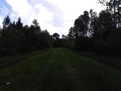 2891 Pineapple St, Bunnell, FL 32110 photo 5