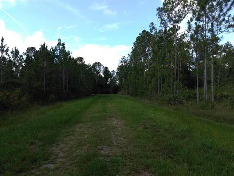 2891 Pineapple St, Bunnell, FL 32110 photo 4