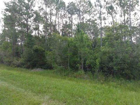 2891 Pineapple St, Bunnell, FL 32110 photo 3
