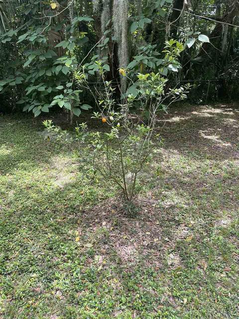 575 B Helen St, Saint Augustine, FL 32084 photo 10
