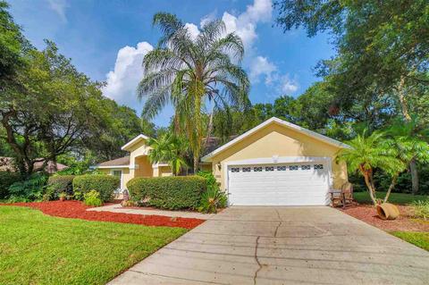 163 Segovia Rd, Saint Augustine, FL 32086 photo 3