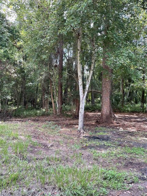 2900 Cabbage Hammock Rd, Saint Augustine, FL 32092 photo 6
