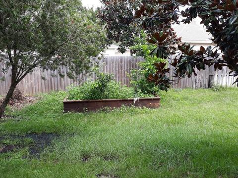 615 Scrub Jay Dr, Saint Augustine, FL 32092 photo 19