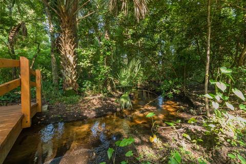 4237 Wicks Branch Rd, Saint Augustine, FL 32086 photo 20