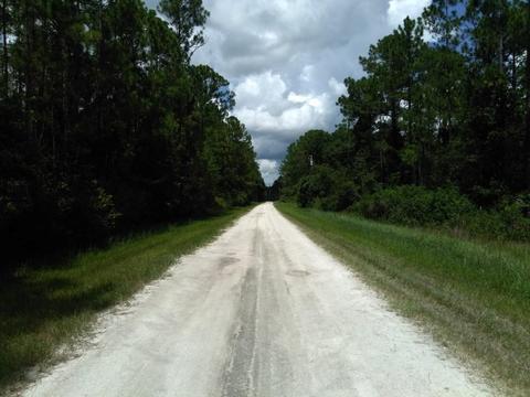 2277 Orange St, Bunnell, FL 32110 photo 6