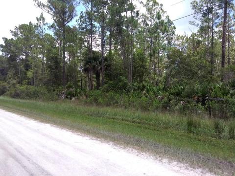2277 Orange St, Bunnell, FL 32110 photo 3