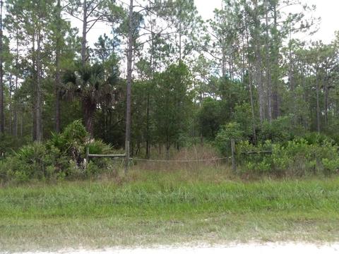 2277 Orange St, Bunnell, FL 32110 photo 1
