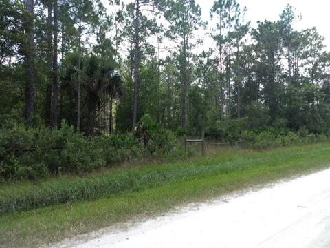2277 Orange St, Bunnell, FL 32110 photo 2