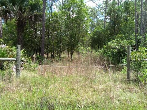 2277 Orange St, Bunnell, FL 32110 photo 4