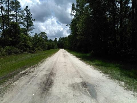 2277 Orange St, Bunnell, FL 32110 photo 5