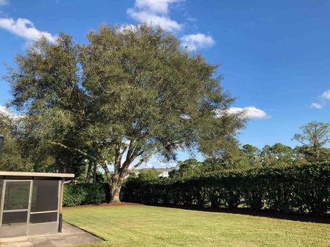 331 Graciela Cir, Saint Augustine, FL 32086 photo 36
