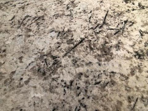 55 Timoga Trl, Saint Augustine, FL 32084 photo 27