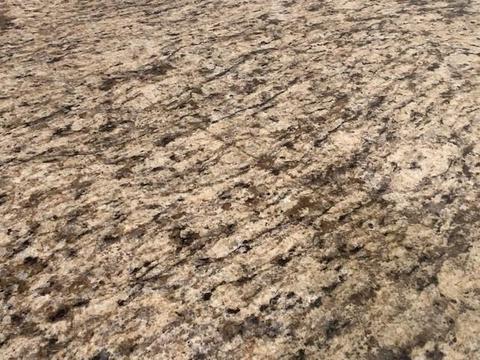 53 Timoga Trl, Saint Augustine, FL 32084 photo 30