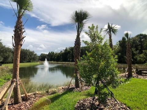 53 Timoga Trl, Saint Augustine, FL 32084 photo 8